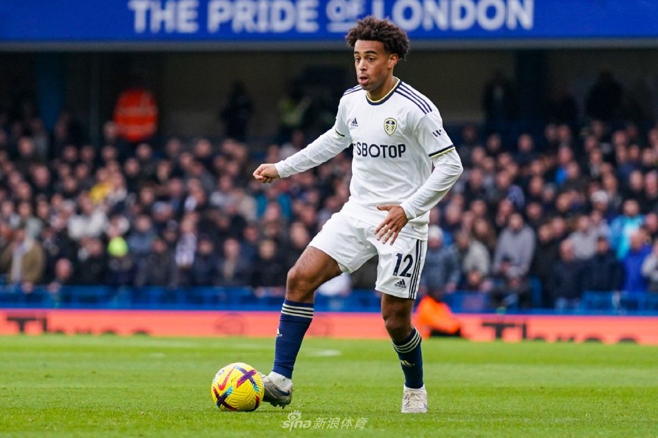 在近年来充 在近年来充